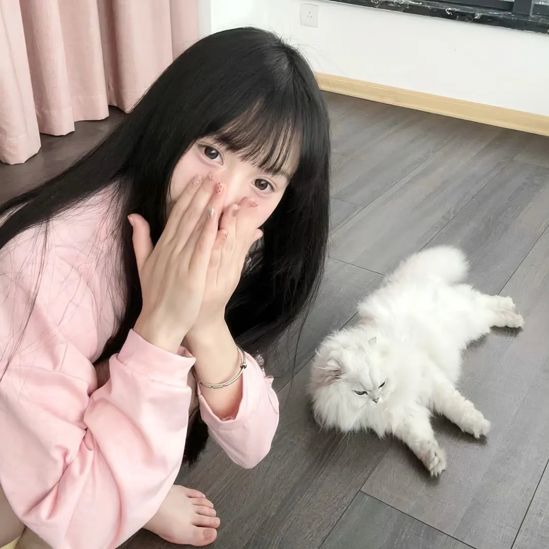 米歇尔·布托：欢迎来到布托邦